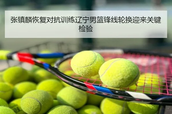张镇麟恢复对抗训练辽宁男篮锋线轮换迎来关键检验